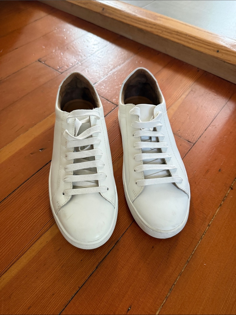 Women’s banana republic leather sneakers